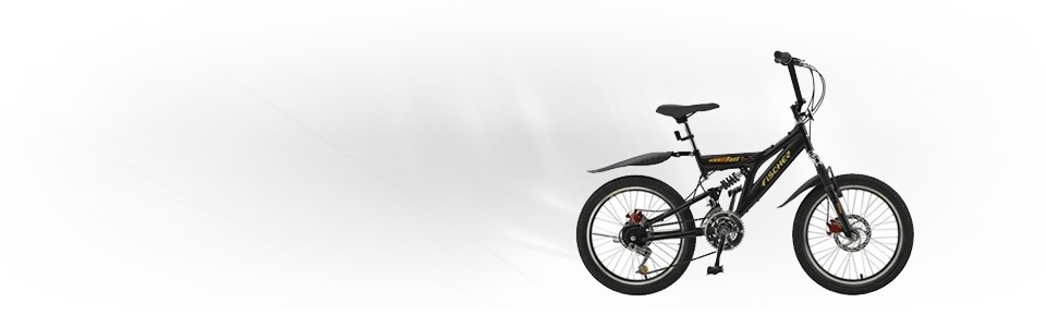 Bicicleta Fischer Aro 20 18 Marchas Suspensão Full Suspension Fast Boy