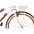 Bicicleta MG Bicicletas Aro 26 18 Marchas Export Mountain Bike Feminina