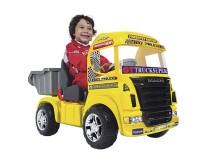 Mini Carro Magic Toys Big Truck