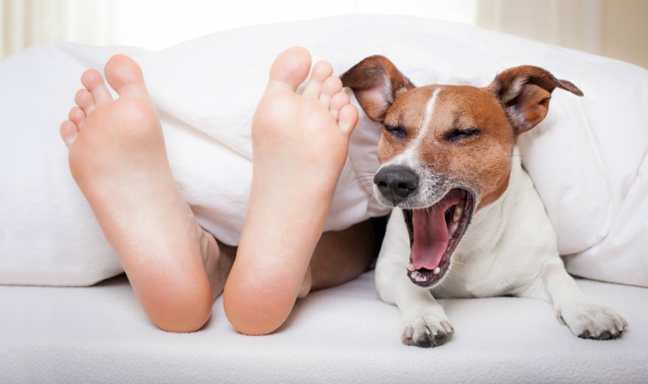Dicas pra comprar cama Dicas pra comprar cama
