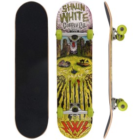 Skate Street - Shaun White Thrash Series