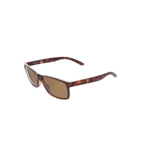 Óculos de Sol Masculino Arnette Slickster AN4185